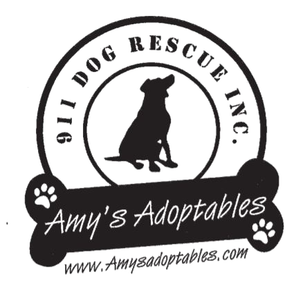 Amy's Adoptables | 911 Dog Rescue